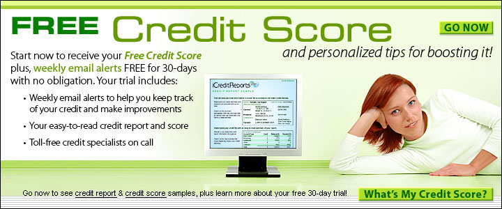 Credit Report Definitions As Agreed